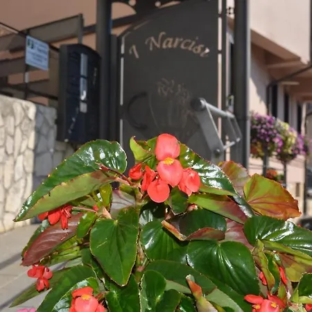 Apartament I Narcisi Roccaraso