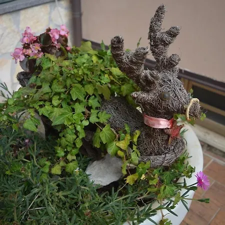 Apartament I Narcisi Roccaraso