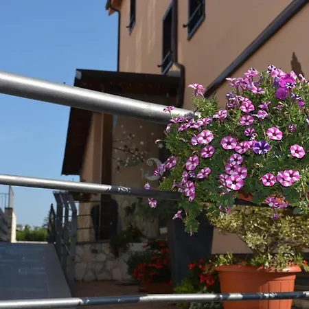 I Narcisi * Roccaraso