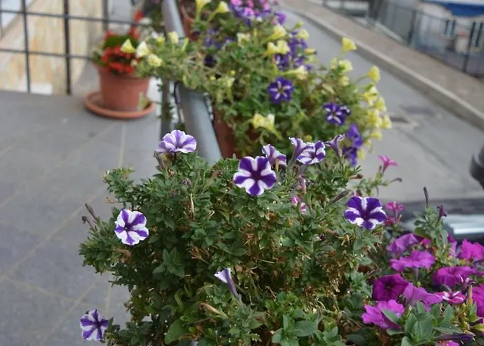 I Narcisi * Roccaraso