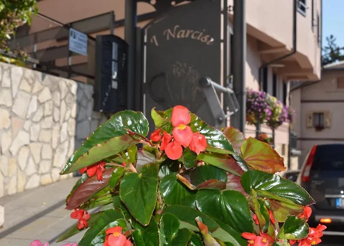 Apartment I Narcisi Roccaraso