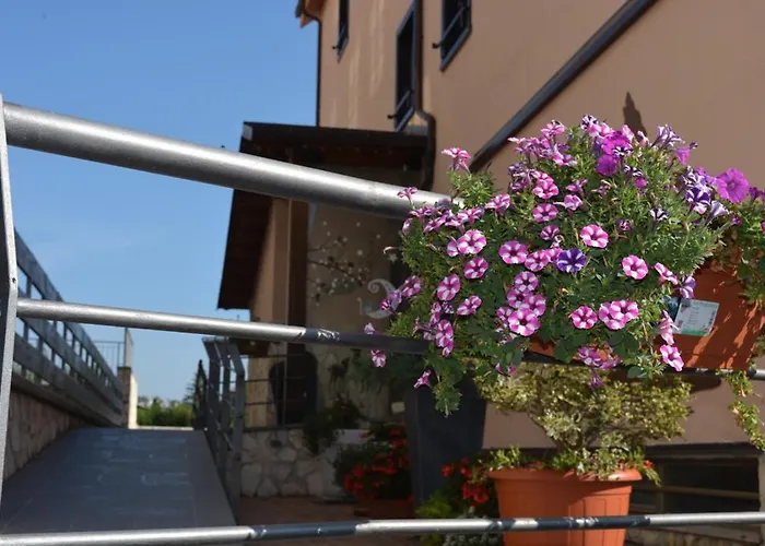 I Narcisi * Roccaraso