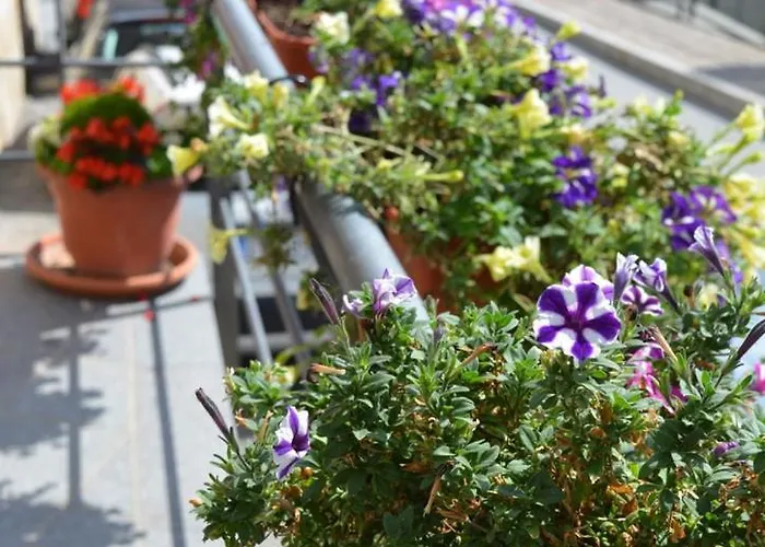 Apartment I Narcisi Roccaraso